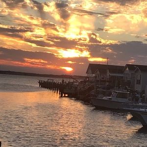 Meet your Posher, Mia